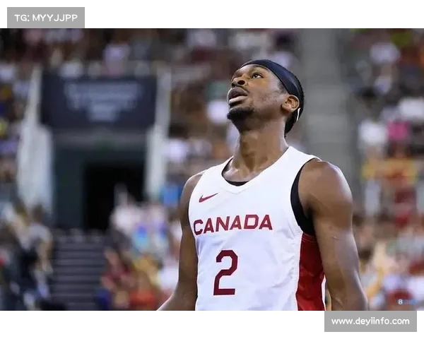 加拿大华人篮球联赛开赛 移民二代球员占比突破六成五